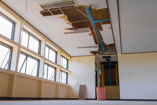 Best Water damage contractors near me  in North Lindenhurst, NY
