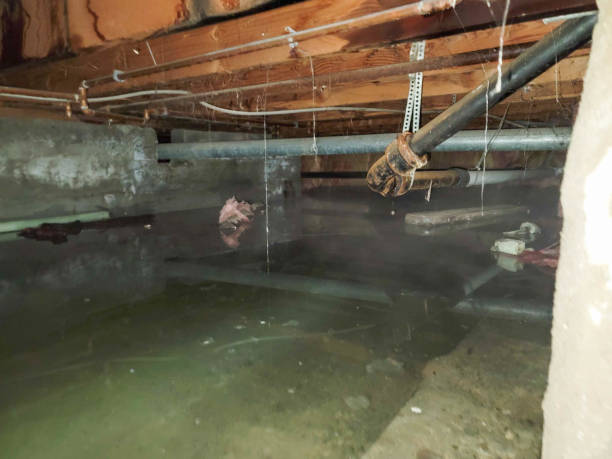 Best Flooded house restoration  in North Lindenhurst, NY