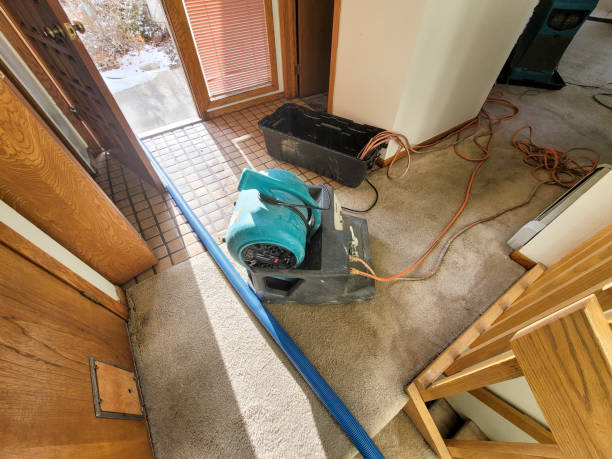 Best Fire Damage Restoration  in North Lindenhurst, NY