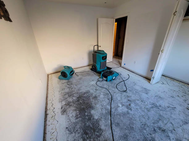 Best Water damage mitigation services  in North Lindenhurst, NY
