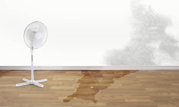 Best Professional water damage repair  in North Lindenhurst, NY