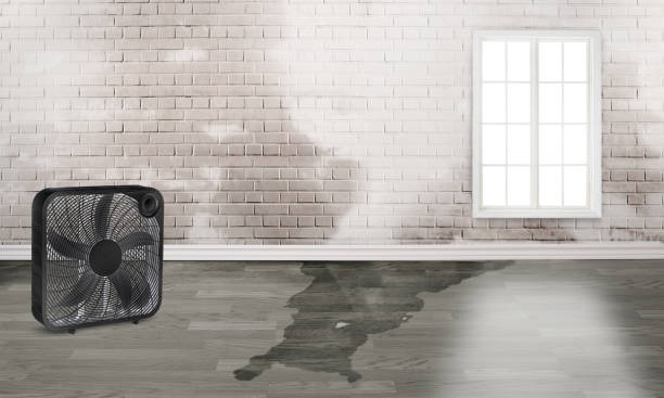 Best Residential water damage restoration  in North Lindenhurst, NY