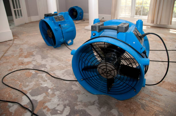Best Local water damage restoration  in North Lindenhurst, NY