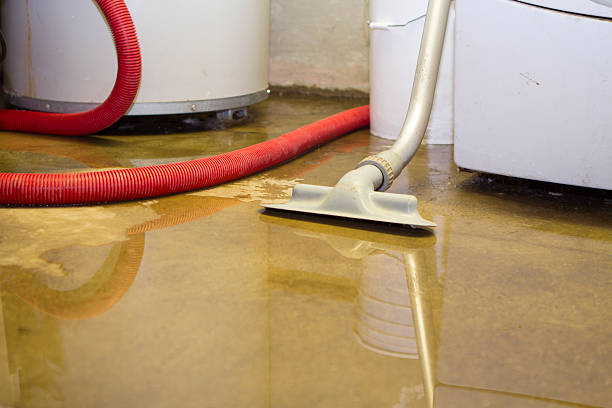 Best Water damage restoration company  in North Lindenhurst, NY
